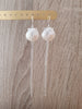 Elegant long-length rhodium plated seashell earrings on jewellery display